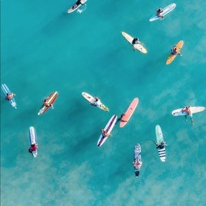 Meet your Posher, Eva